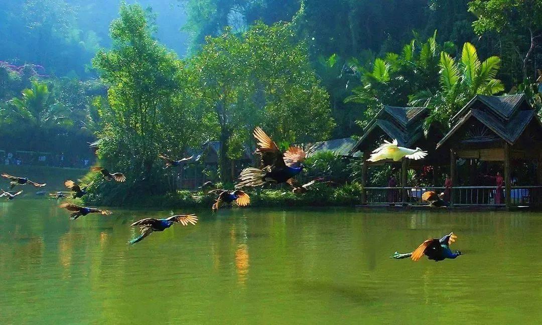 逃离拇指山地