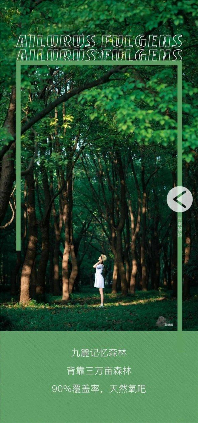 一般医疗纠纷赔几万？游戏画面