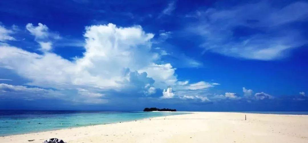 三亚辟谣多海域现剧毒僧帽水母，专家：是蓝瓶僧帽水母，毒性较小？
