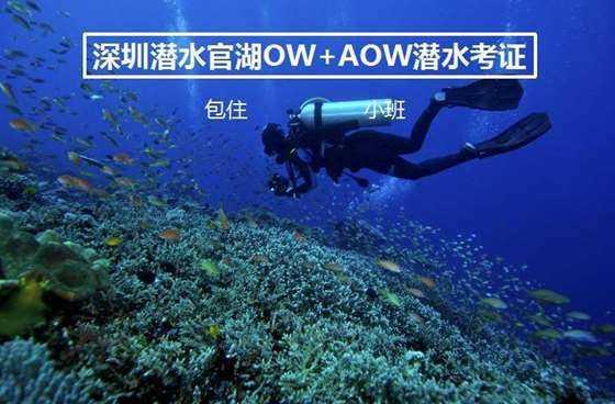 云上的歌