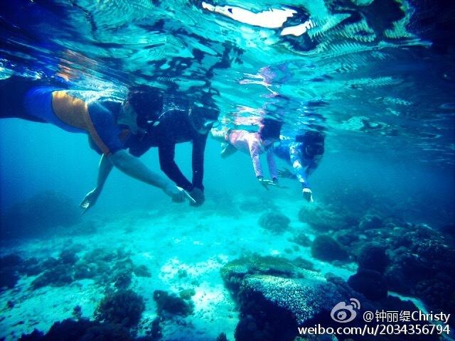 沪江开心词场