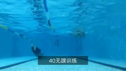 拯救受伤的猫