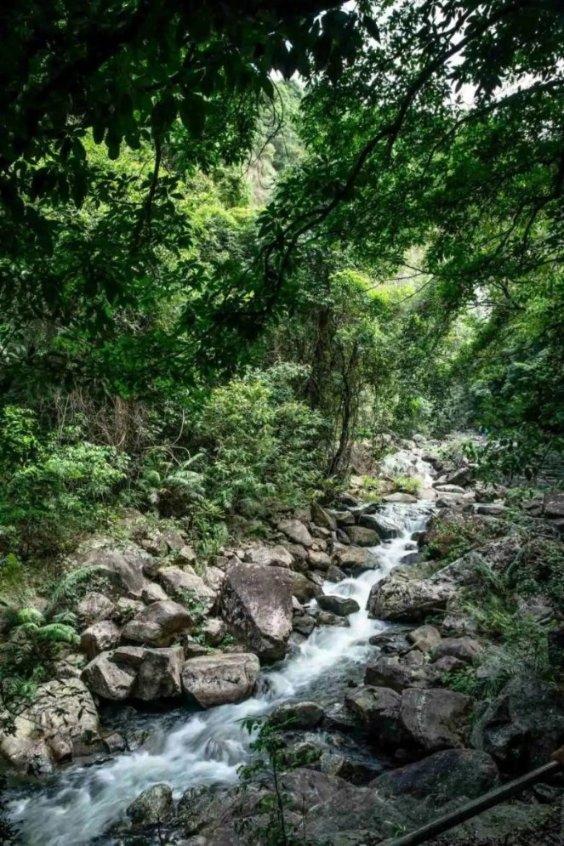 四野独目军长，率部从东北打到雷州半岛，海南岛战役成最得意一仗